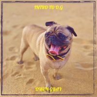 Owen Gray - Intro to O.G