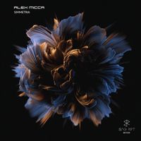 Alex Micca - Simmetria