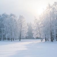 AURA - Winter Sonata