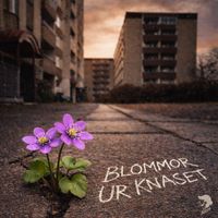 Jacco - Blommor ur knaset