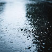 Georgia Brown - Midnight Solar Pulse