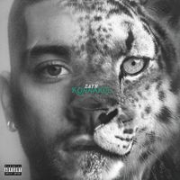 ZAYN - KONNAKOL (Explicit)