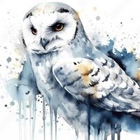 Supreme - Hedwig's Flight