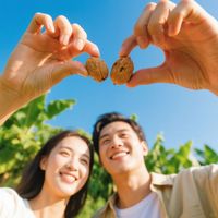 mercy - サマーナッツ