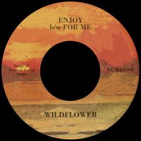 Wildflower - Enjoy b/w For Me