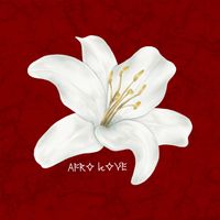 VEER - Afro Love (Explicit)