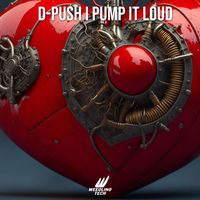 D-Push - Pump It Loud