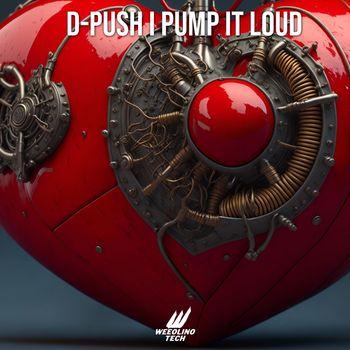 D-Push - Pump It Loud