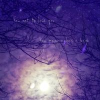How Many Colors - How Not To Lose You