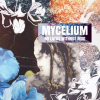 MYCELIUM - Let's Be Candid About It