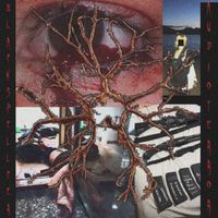 blackspellcer - A.u.d.i.o.t.e.r.r.o.r (Explicit)