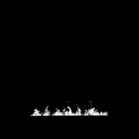Unholy - Dry Signal / Disgust