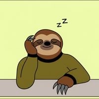 Sleepy Sloth - do sloths even sleep