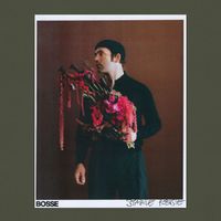 Bosse - Stabile Poesie (Explicit)