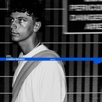 alma - CODICE BINARIO_(01)