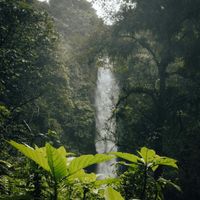 anei - yang pertama