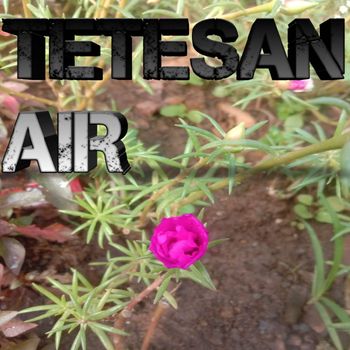 Condro - Tetesan Air