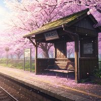 LofiForest - Ambient Calm Beats