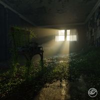 D0d. - Shimmer