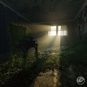D0d. - Shimmer