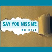 Whistle - Say You Miss Me
