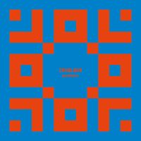 Zavoloka - Ornament