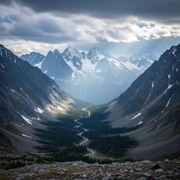 Rune Echo - Ashen Forest Celtic Ambient