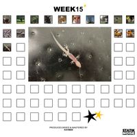 KAYBEE - WEEK15