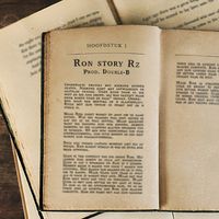 Rz - Ron Story