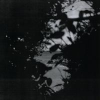Luisa Ji - insomnia sea