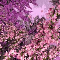 Matt Lange - Blossoming