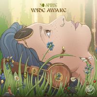No Spirit - Wide Awake