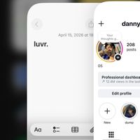 DANY - luvr (demo Version)