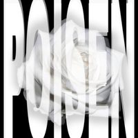 grim - poisen
