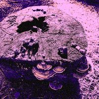 LAVEN - Yūgen