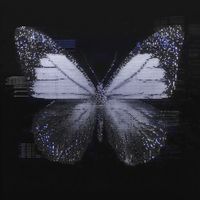 Newsense Studio - Digital Confidence