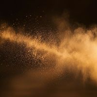 ANDERSON - Dust Portrait Again
