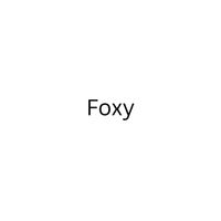Foxy - I Want To Clone Him