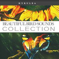 Hyrulea - Beautiful Bird Sounds Collection