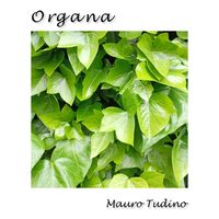 Mauro Tudino - Organa