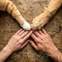 Kuma - Hands Together, Hearts Aligned