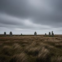 Rune Echo - Blessed Grove Celtic Ambient