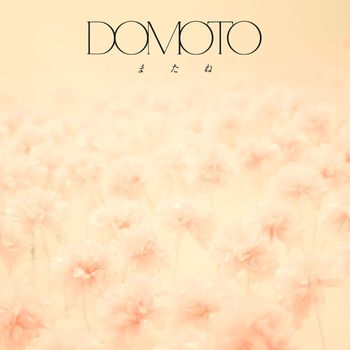 DOMOTO - MATANE