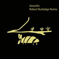 Winter - Amarillo (Robert Burbidge Remix)