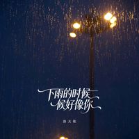洛天依 - 下雨的时候好像你