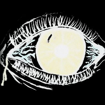 Curio - Curios Mindz