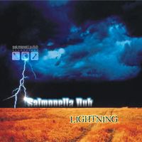 Salmonella Dub - Lightning (Radio Cut)