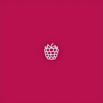 ENEL - Raspberry (Explicit)