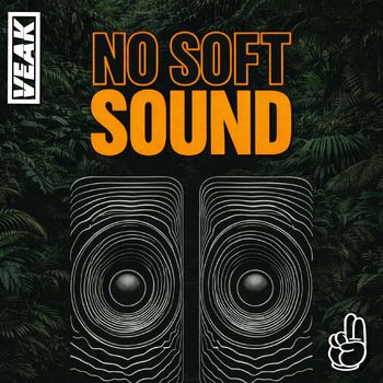 Veak - No Soft Sound