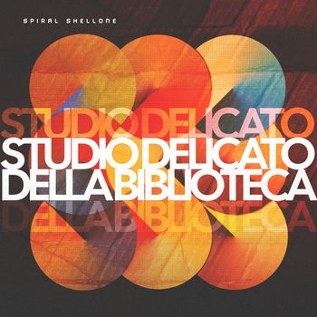 Spiral Shell - Studio Delicato della Biblioteca